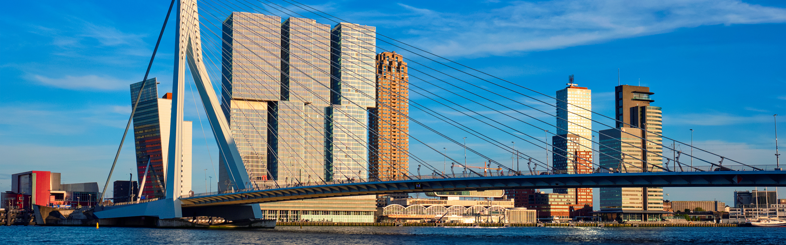 img_dintelhaven_erasmusbrug_rotterdam